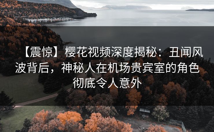 【震惊】樱花视频深度揭秘：丑闻风波背后，神秘人在机场贵宾室的角色彻底令人意外