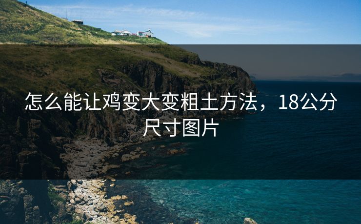 怎么能让鸡变大变粗土方法，18公分尺寸图片
