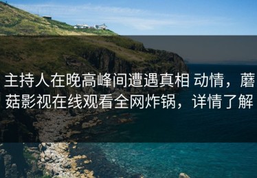 主持人在晚高峰间遭遇真相 动情，蘑菇影视在线观看全网炸锅，详情了解
