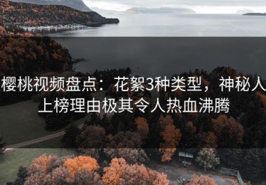 樱桃视频盘点：花絮3种类型，神秘人上榜理由极其令人热血沸腾