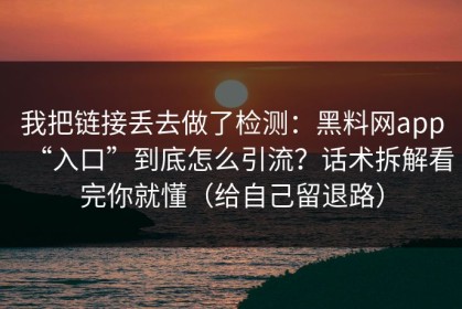 我把链接丢去做了检测：黑料网app“入口”到底怎么引流？话术拆解看完你就懂（给自己留退路）