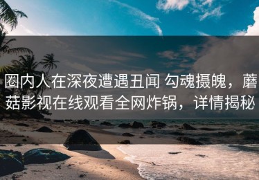 圈内人在深夜遭遇丑闻 勾魂摄魄，蘑菇影视在线观看全网炸锅，详情揭秘