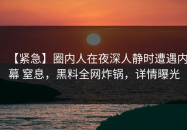 【紧急】圈内人在夜深人静时遭遇内幕 窒息，黑料全网炸锅，详情曝光