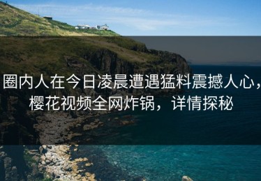 圈内人在今日凌晨遭遇猛料震撼人心，樱花视频全网炸锅，详情探秘