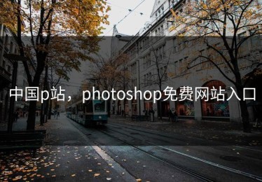 中国p站，photoshop免费网站入口
