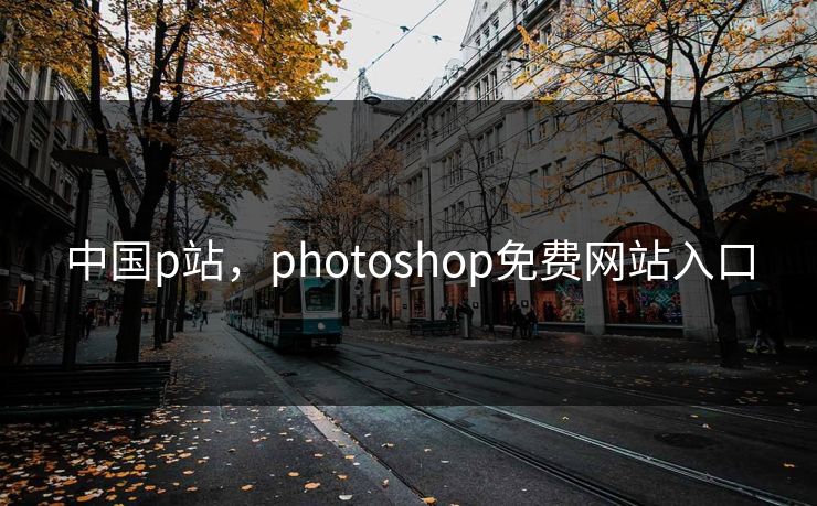 中国p站，photoshop免费网站入口